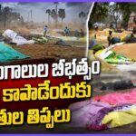 🚜 Agriculture & Farmers News