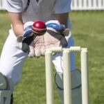 Cricket