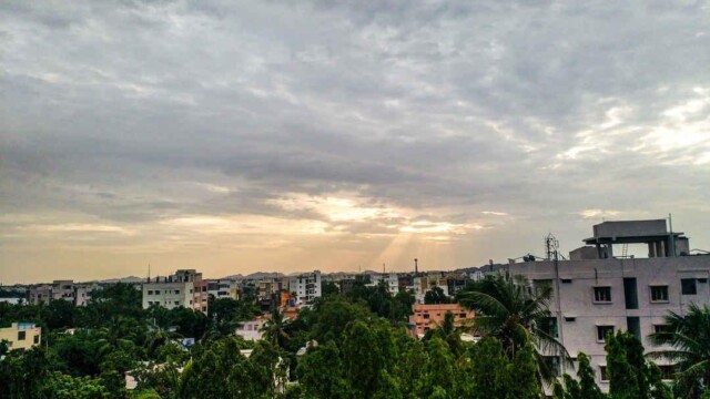 City Views